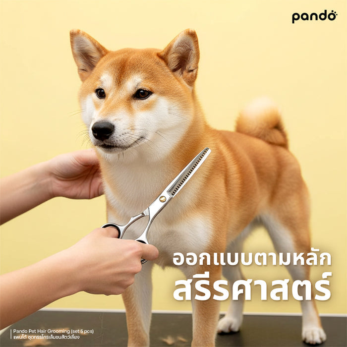 (สินค้าพร้อมส่ง 15 ก.ย.) pando pet hair grooming (set 5 pcs) ชุดกรรไกรตัดขนสัตว์เลี้ยง 5 ชิ้น