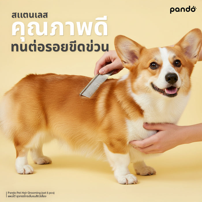 (สินค้าพร้อมส่ง 15 ก.ย.) pando pet hair grooming (set 5 pcs) ชุดกรรไกรตัดขนสัตว์เลี้ยง 5 ชิ้น