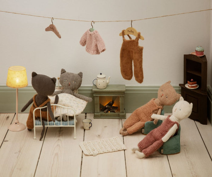 Chatons, Kitten - Grey