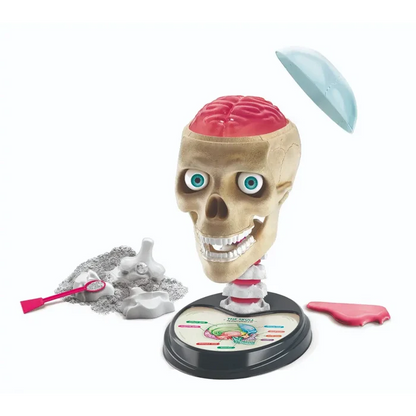 Clementoni Science & Play Crazy Anatomy Lab Toys for kids