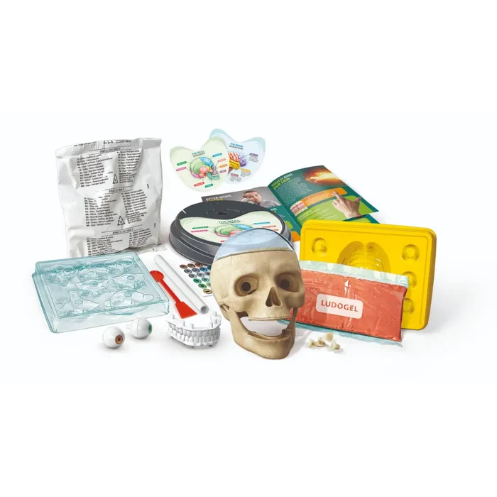 Clementoni Science & Play Crazy Anatomy Lab Toys for kids