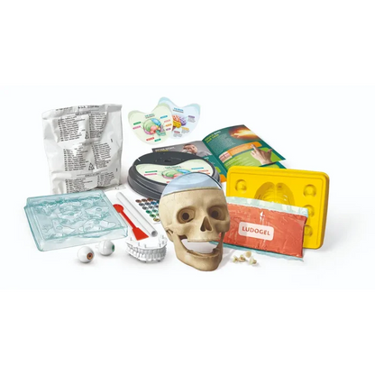 Clementoni Science & Play Crazy Anatomy Lab Toys for kids