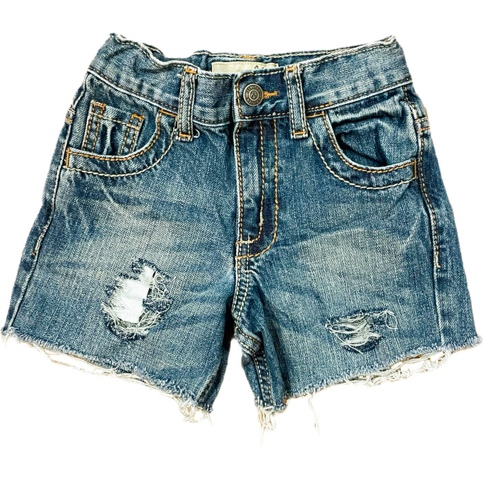 Toddler / 2-3t / A