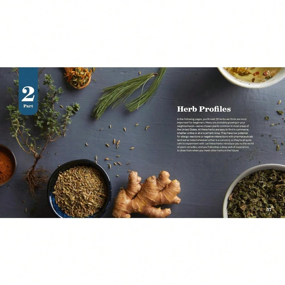 Herbal Medicine For Beginners: Your Guide To Healing Common Ailments With 35 Medicinal Herbs