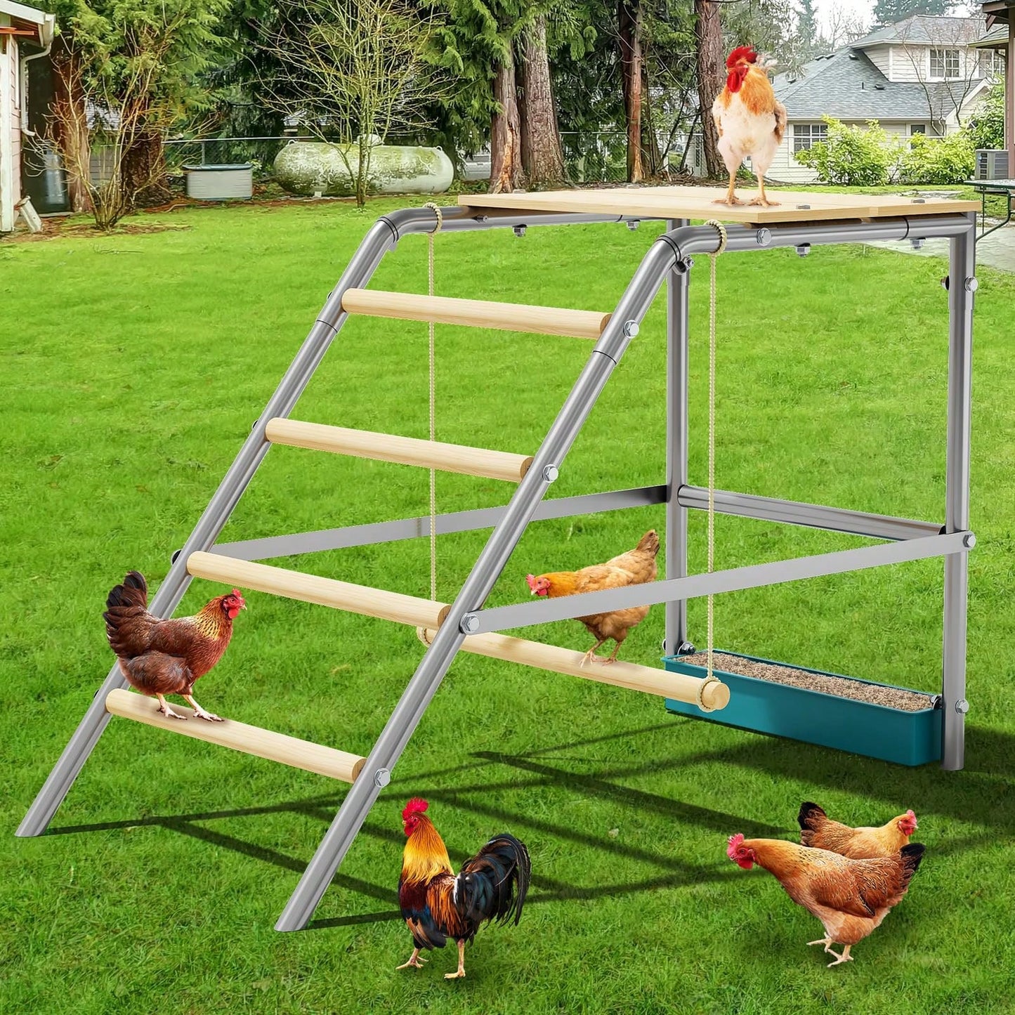 Meiyiu Roosting Bars For Chickens In Coop, Chicken Perch For Coop, Chicken Roosting Bars With Swing And Ladder For Backyard Farm, Easy To Clean