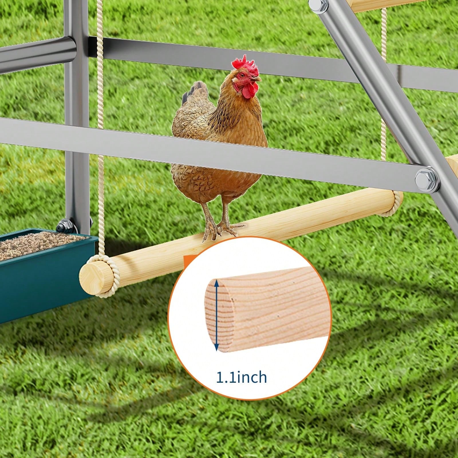 Meiyiu Roosting Bars For Chickens In Coop, Chicken Perch For Coop, Chicken Roosting Bars With Swing And Ladder For Backyard Farm, Easy To Clean