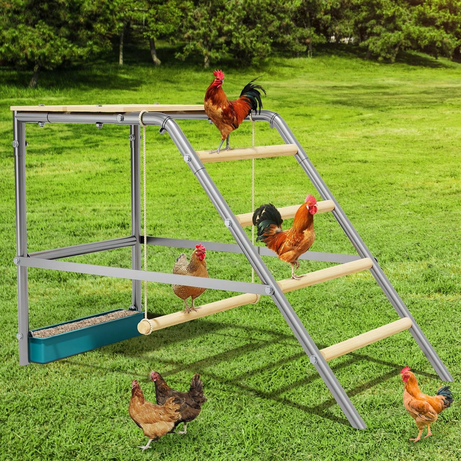 Meiyiu Roosting Bars For Chickens In Coop, Chicken Perch For Coop, Chicken Roosting Bars With Swing And Ladder For Backyard Farm, Easy To Clean