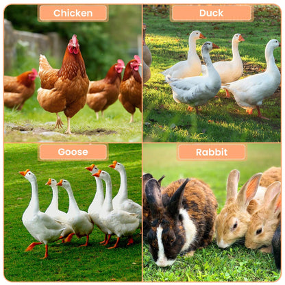 mteryoing Large Walk-In Metal For 10 Chickens,Heavy Duty Reinforced Wire Mesh Run With All-Weather Waterproof & Anti-UV Cover,Secure Lock- Outdoor Poultry Pen For Chickens,Ducks (Spire Roof)