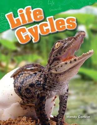 Pre-Owned Life Cycles (Paperback) By Wendy Conklin