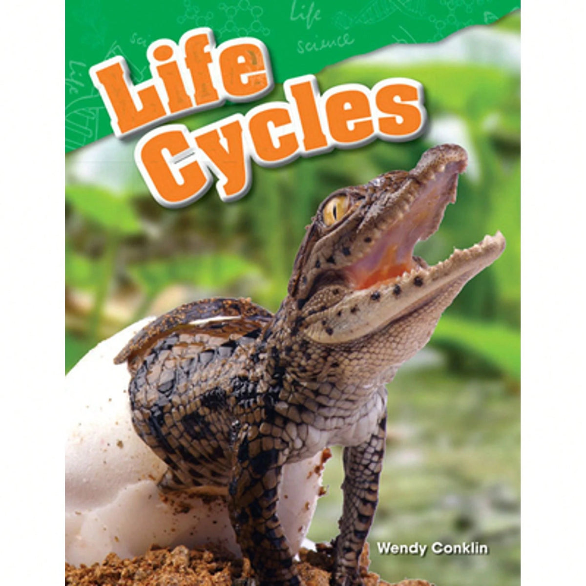 Pre-Owned Life Cycles (Paperback) By Wendy Conklin