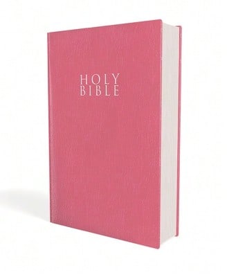 Pre-Owned NIV, Outreach Bible, Student Edition, Paperback (Paperback) By Zondervan