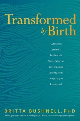 Pre-Owned The Ayurvedic Guide To Fertility: A Natural Approach To Getting Pregnant (Paperback) By Heather Grzych, John Douillard